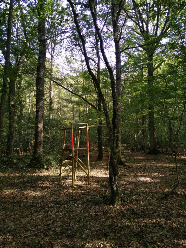 Action de chasse en traque-affût dans le Loiret