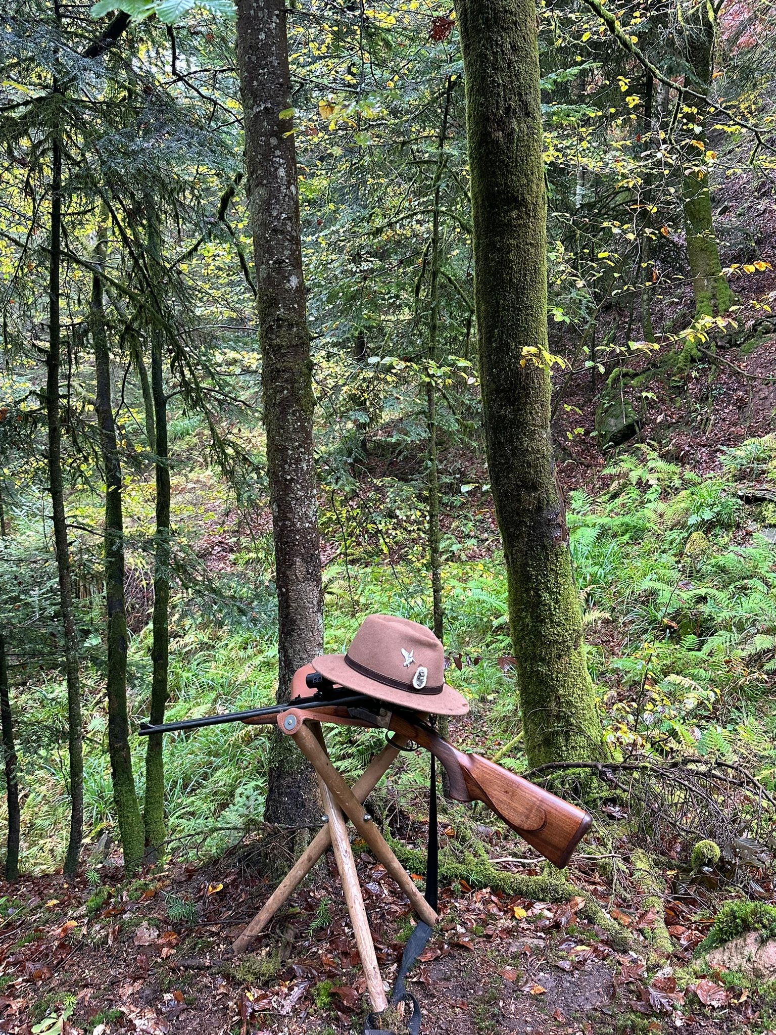 Action de chasse dans les Vosges