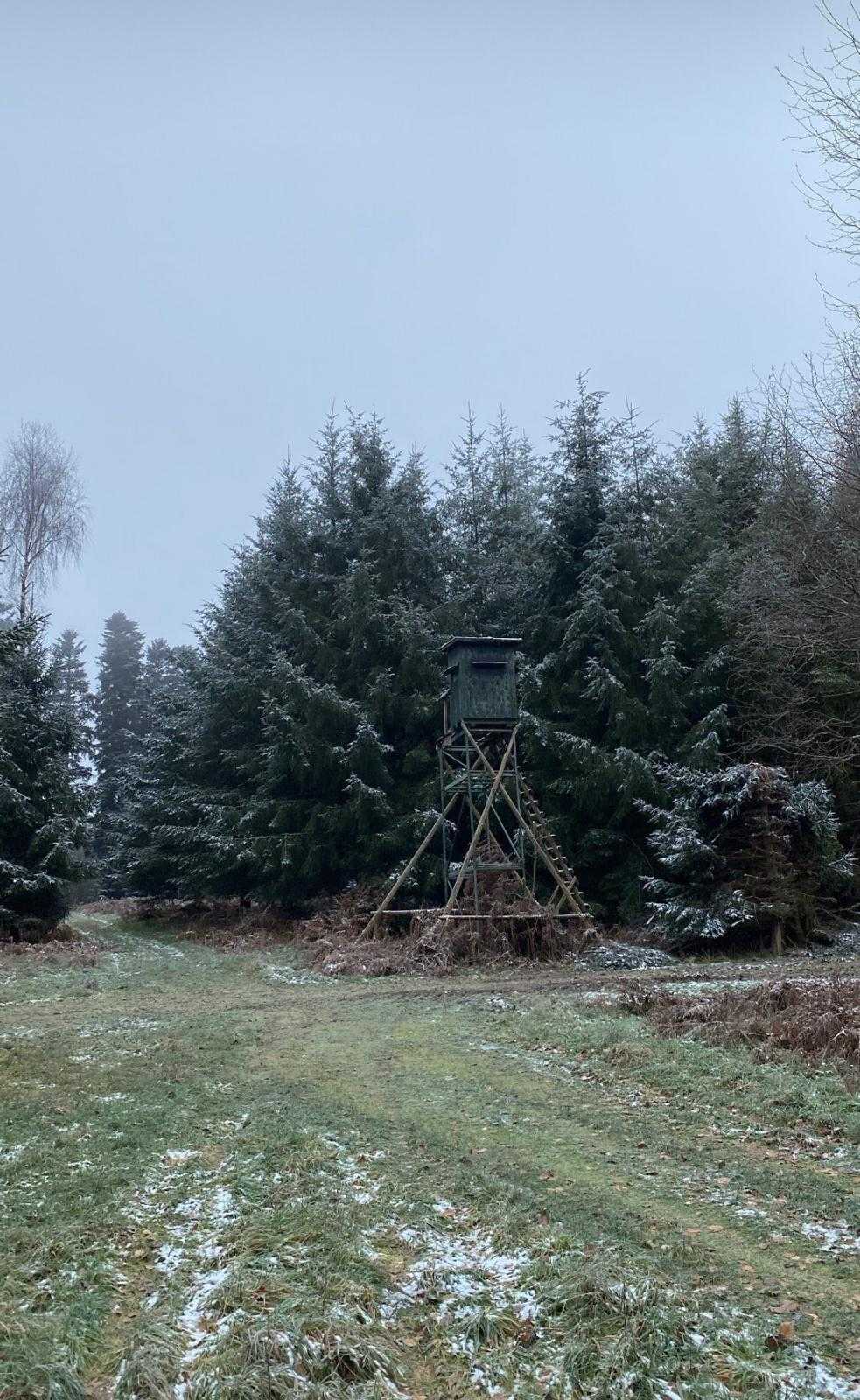 Affut & Approche en forêt