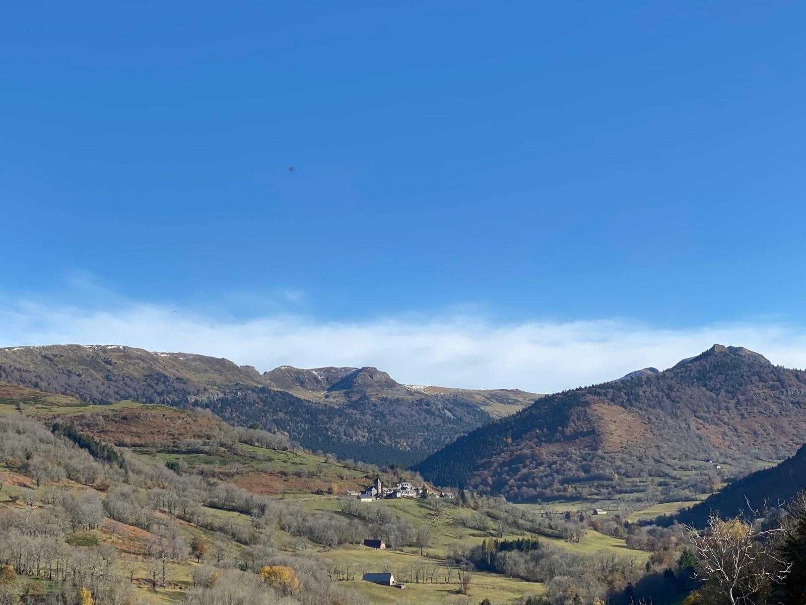 Journée d'approche du sanglier dans les Monts du Cantal