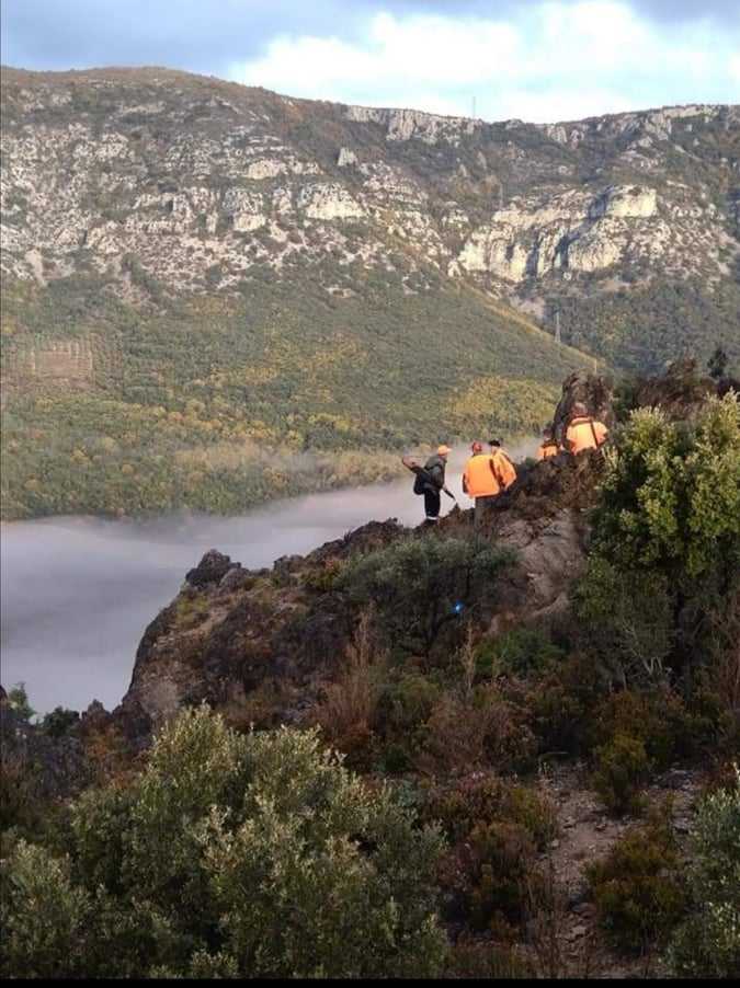 Journée de chasse aux sangliers dans l'Hérault