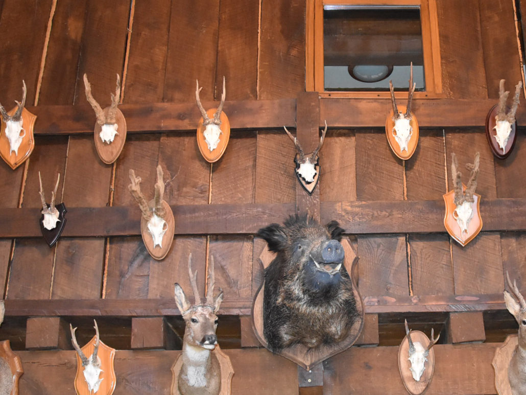 Week-end de chasse dans la Nièvre