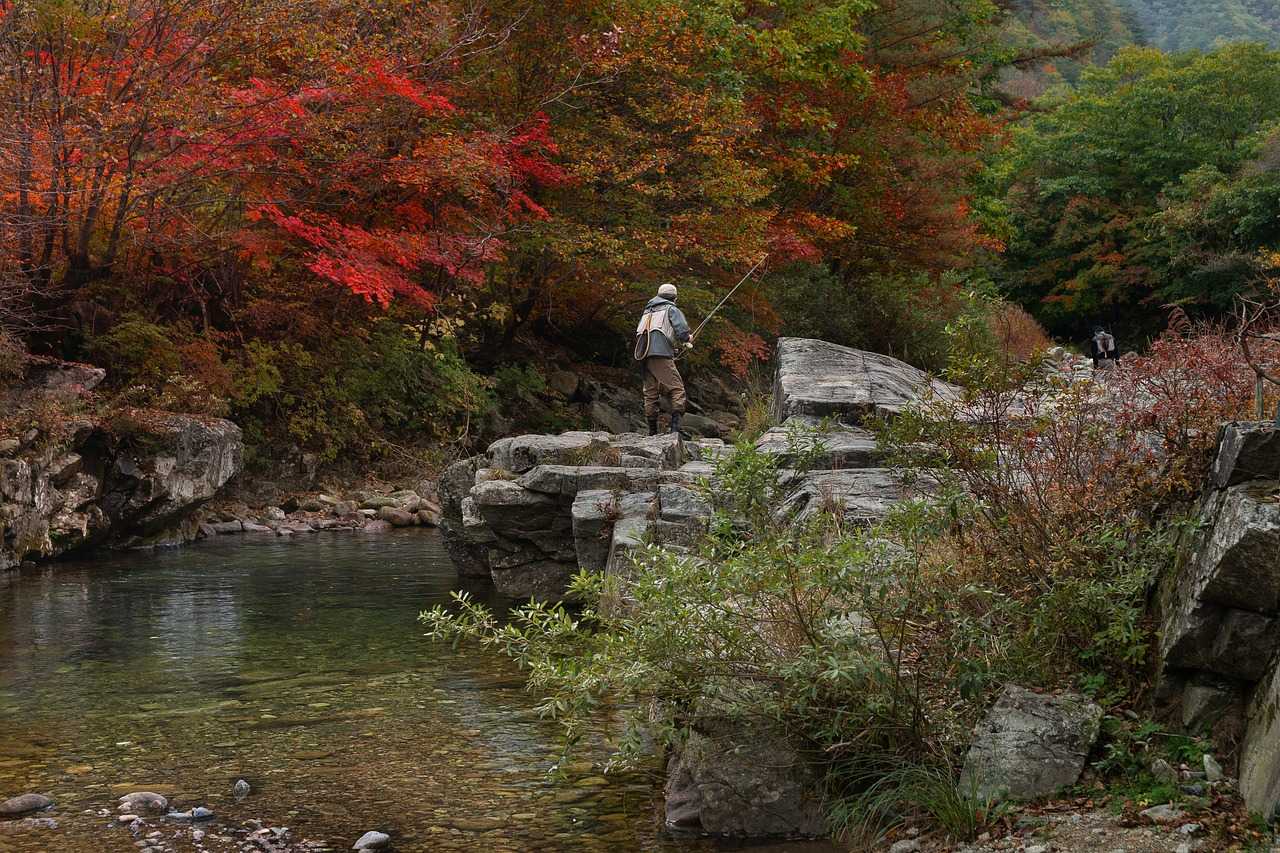 Journée de pêche en rivière