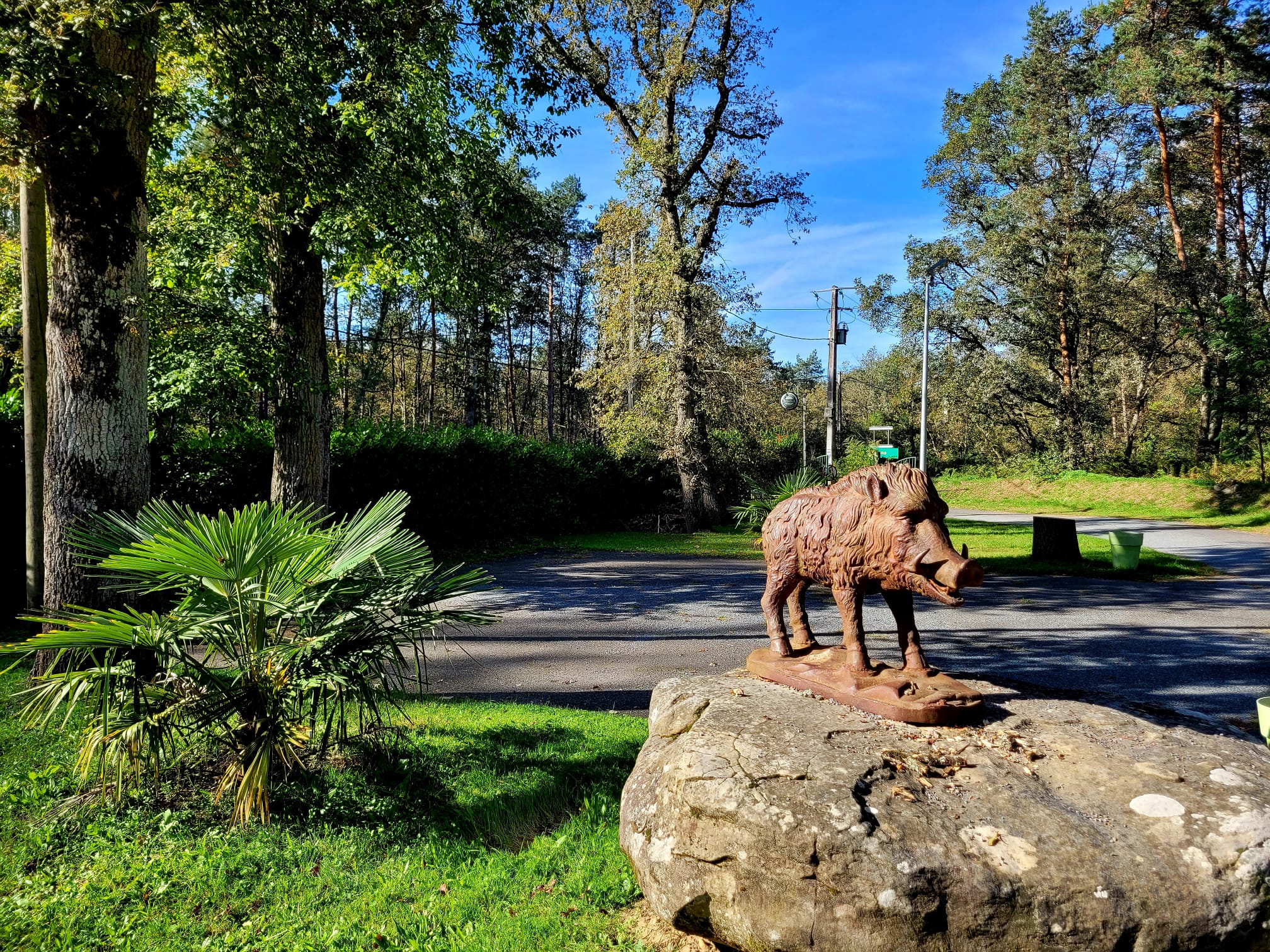 Journée Grand Gibier Massif Des Trois Pignons - Forêt de Fontainebleau