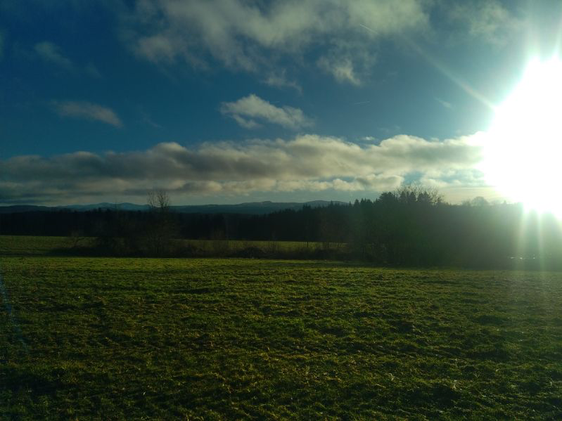 Journée découverte grand gibier dans le Doubs