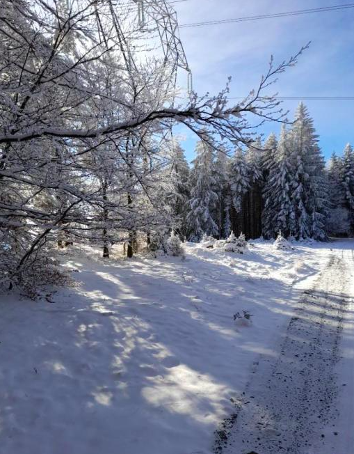 Action de battue dans les Vosges