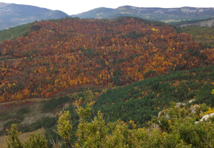 Recherche traqueurs dans le Haut Diois