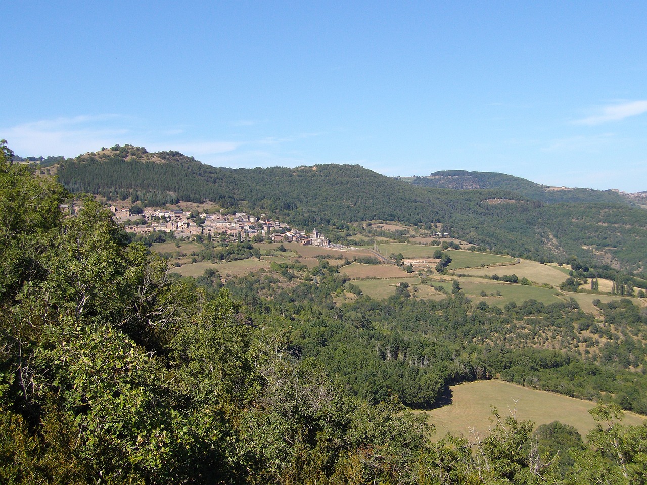 Journée de battue grand gibier limite Hérault / Aveyron