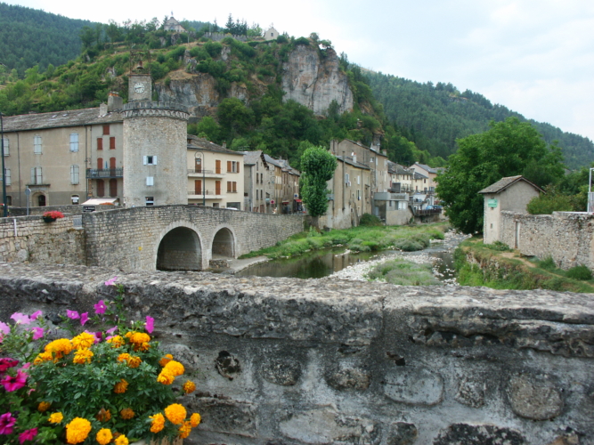 Chasse au bâton au lièvre en Lozère