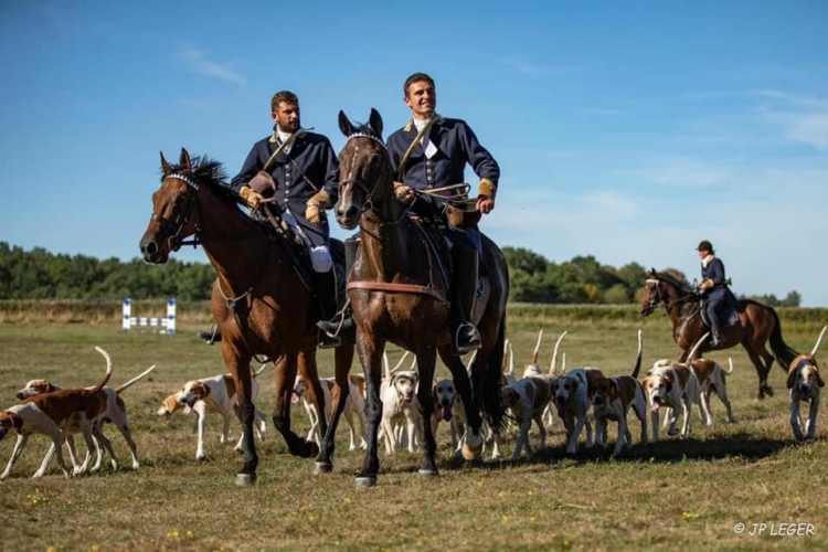 Vènerie du chevreuil dans le Jura, Côte d'Or et Saône-et-Loire