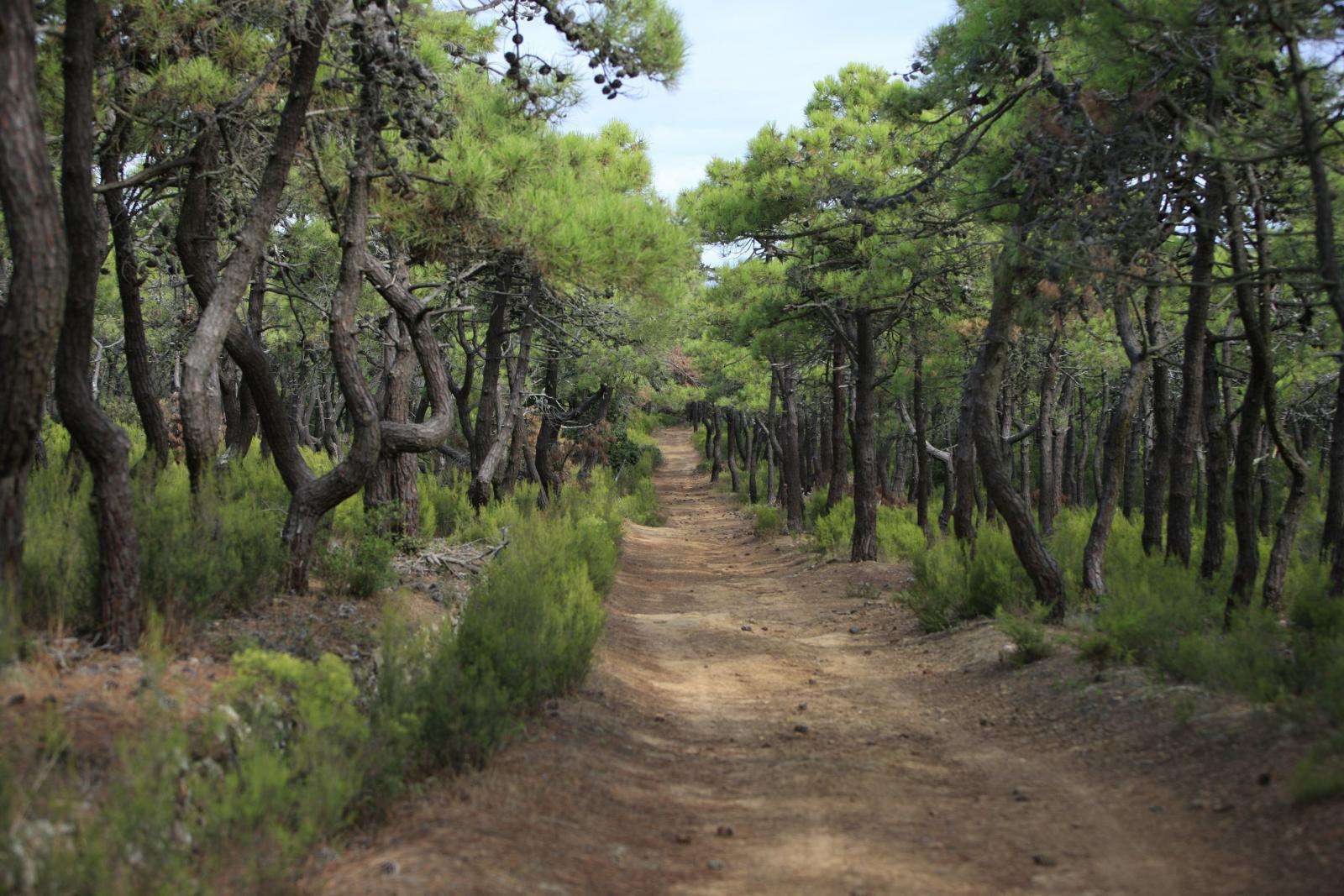 Journée grand gibier, secteur Narbonne