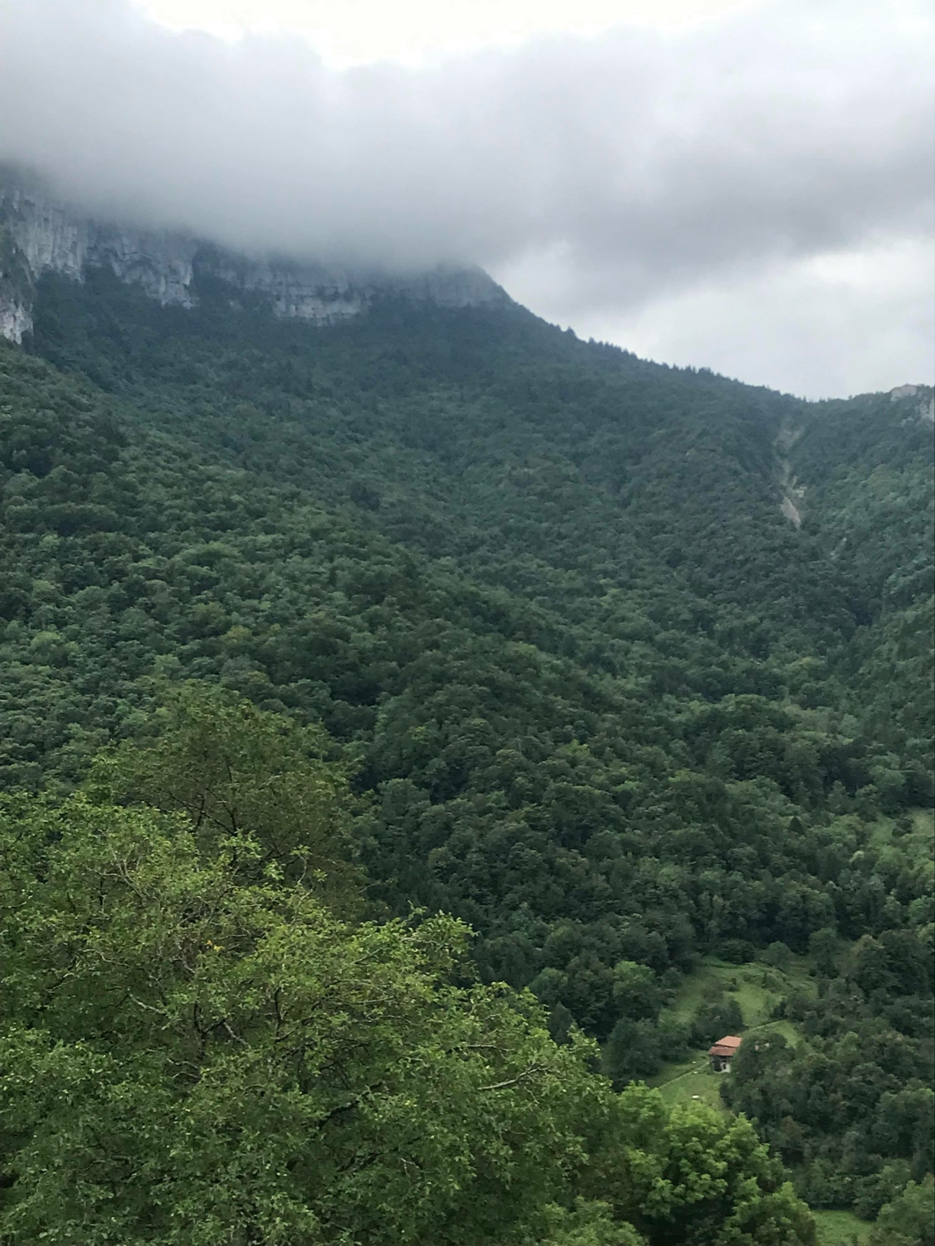 Carte à la semaine au grand gibier dans le Vercors, Isère 38