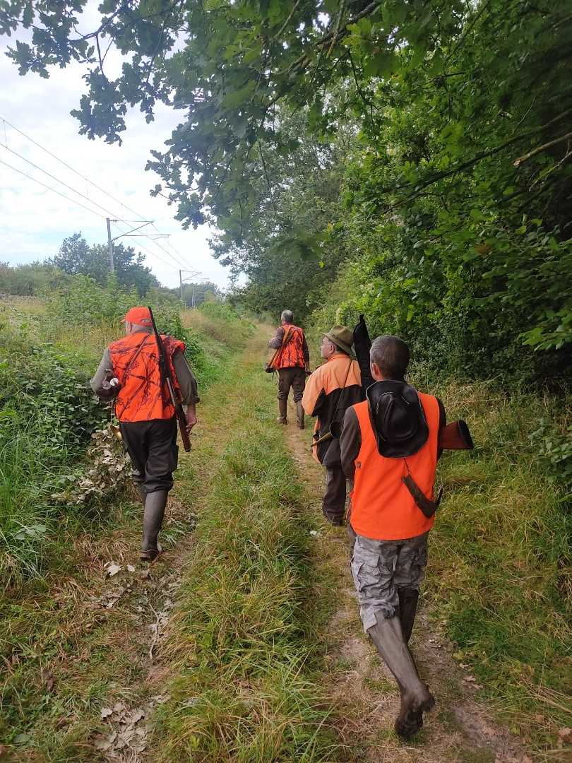 Action du lundi grands gibiers, en Seine et Marne