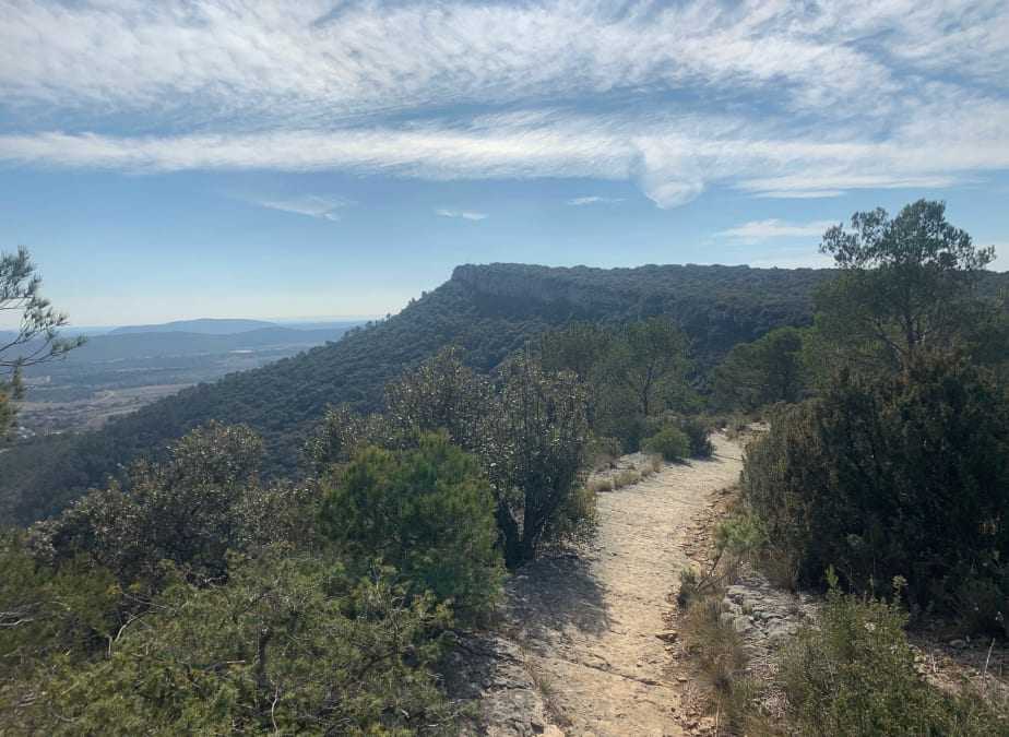 Action grands gibiers, mercredi et weekend, dans les contreforts des Cévennes