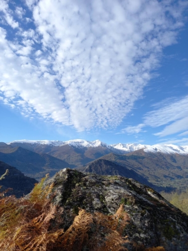 Action de chasse grands gibiers, dans l'Ariège