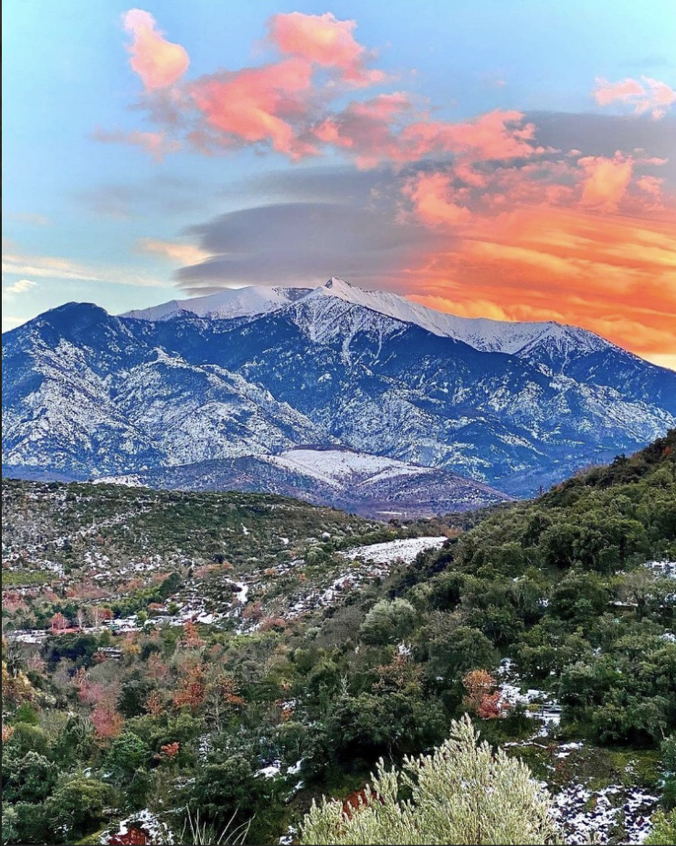 Battue le Mercredi, Samedi, Dimanche et jours fériés en Pyrénées Orientales