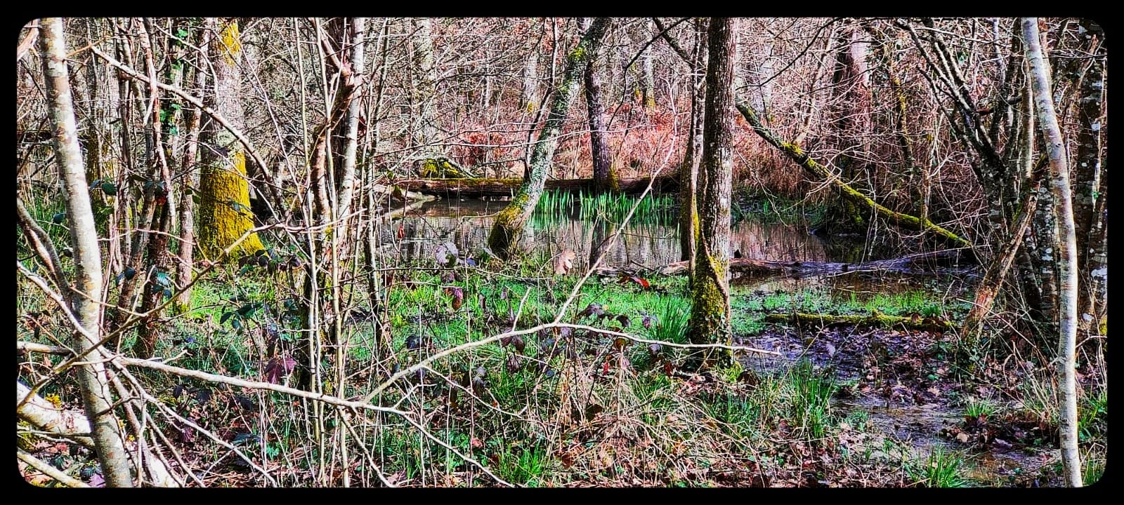 Action de chasse à l'arc au grand gibier en Dordogne