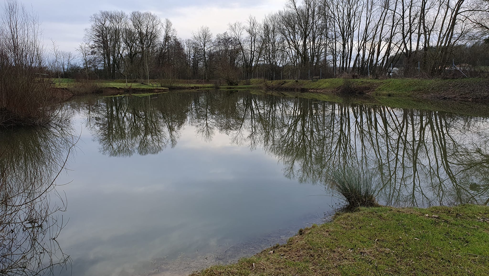 Carte de pêche petit étang Haute Marne