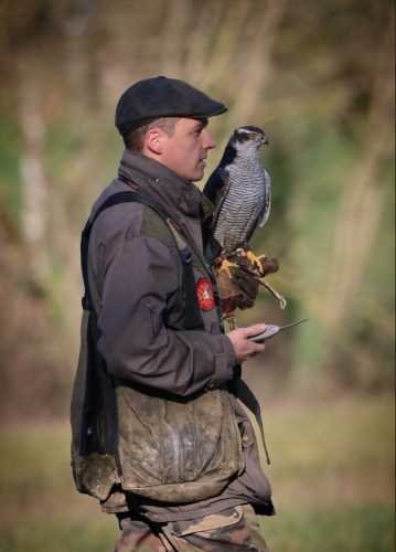 Découvrez l'Art de la Chasse au Vol, Tarn et Garrone ou Aveyron