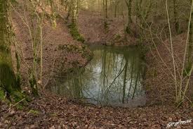 Journée de battue au grand gibier dans la Marne