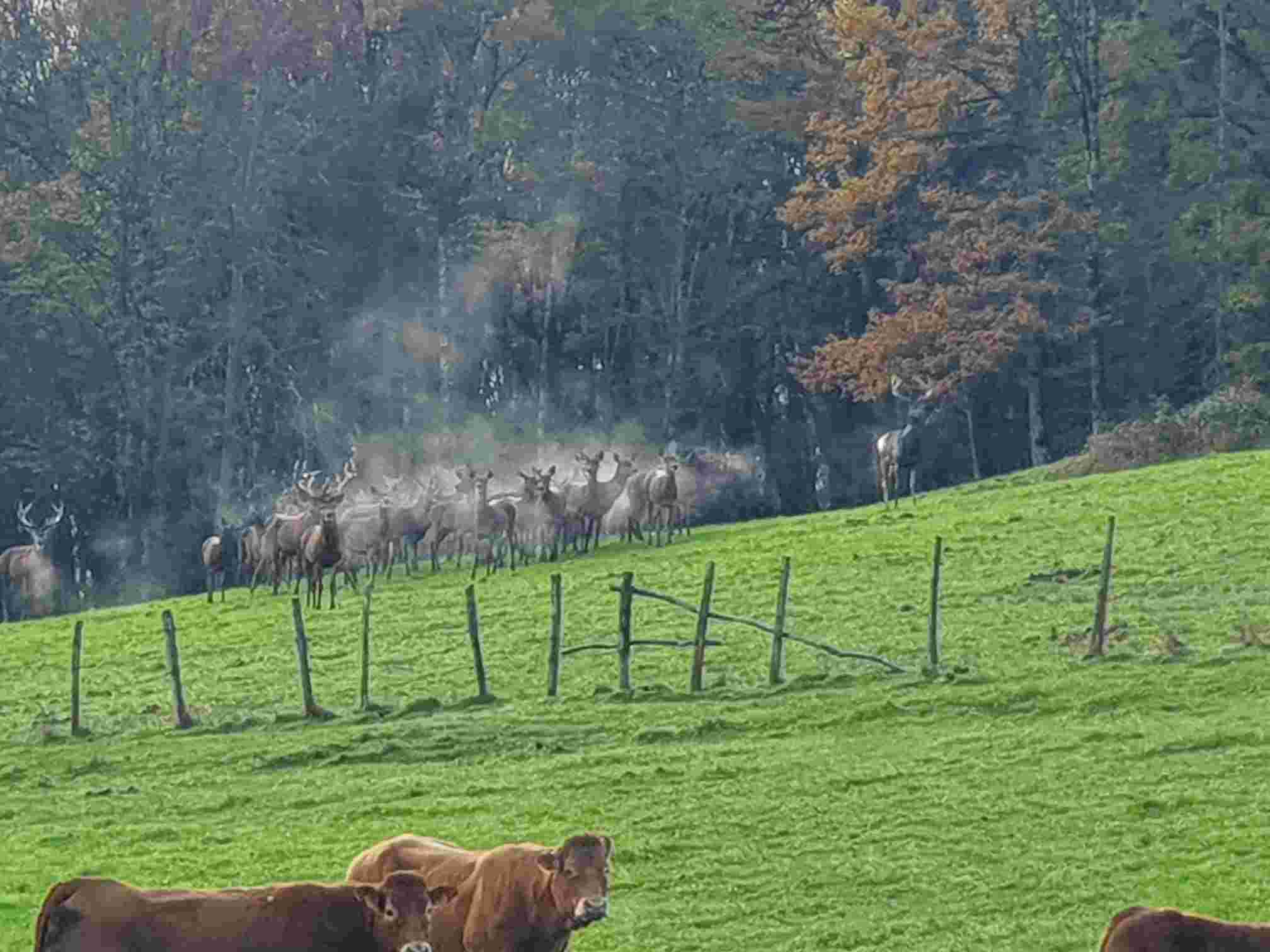 Journée découverte pour action Vallée de l'Ouche