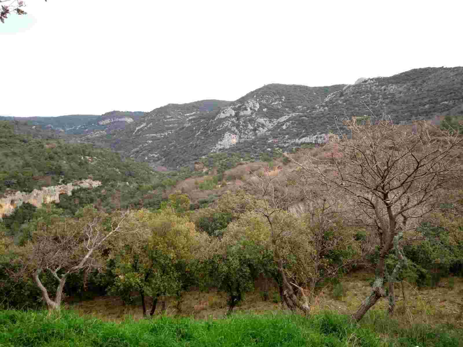 Action de battue au grand gibier dans le Vaucluse