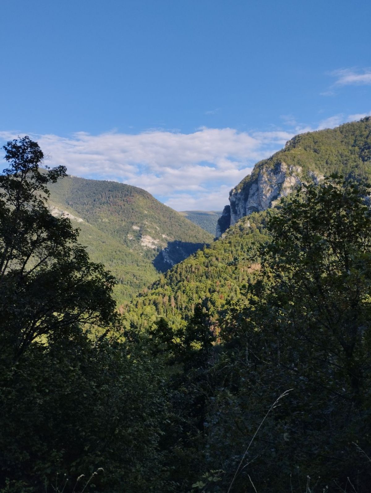 Action de chasse au grand gibier dans l'Aude