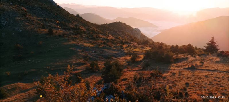 Journée de chasse dans les Alpes de Haute-Provence