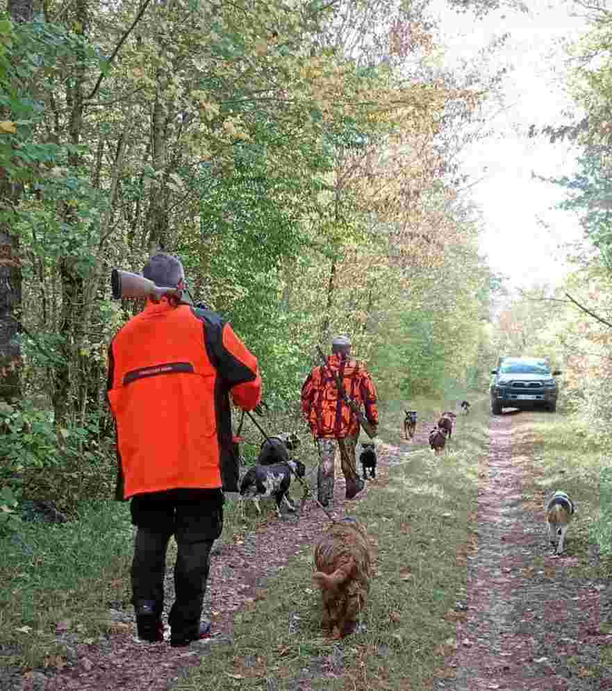 Action du dimanche au grand gibier dans l'Yonne