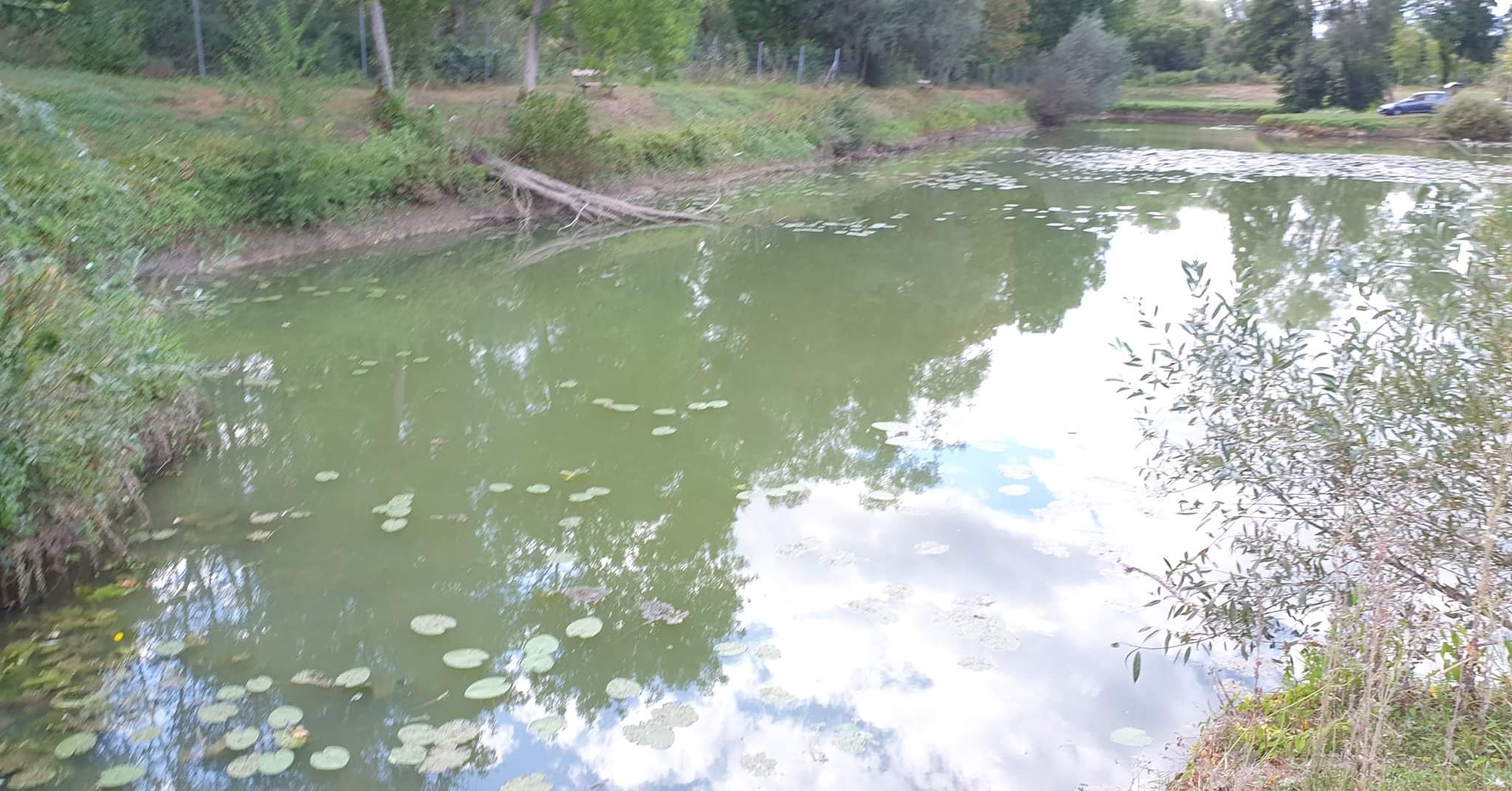 Journée de pêche en Haute Marne offre Week-end