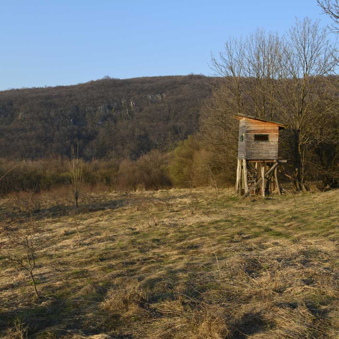 Observation des animaux avec Miradors, dans la Meuse