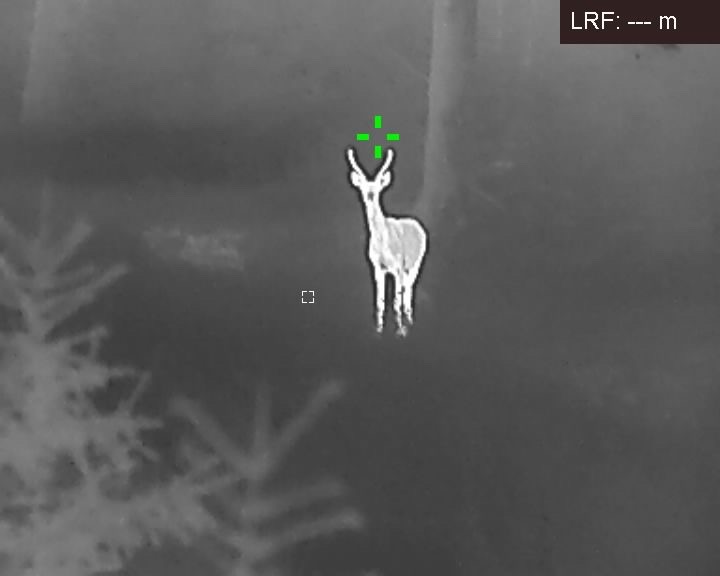 Journée de battue au grand gibier dans les Ardennes