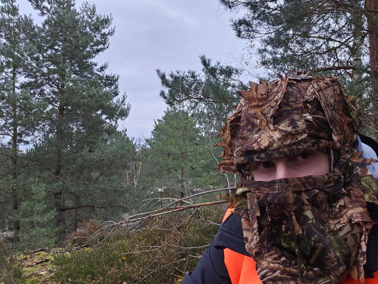 ARCHER Action Grand Gibier - Massif Des Trois Pignons - Forêt de Fontainebleau-