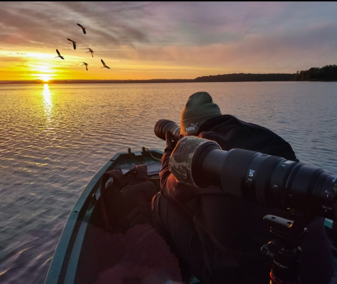 Observer et photographier l'avifaune sauvage à bord d'un bateau