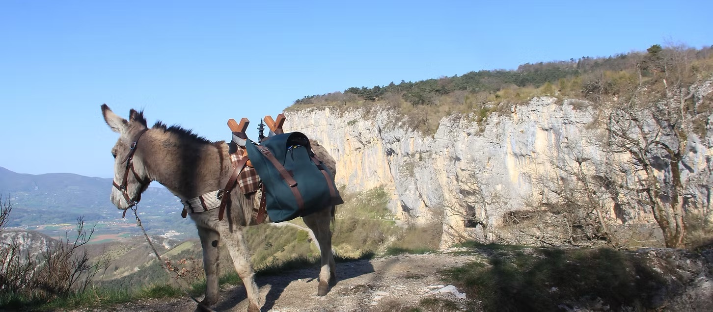 Une randonnée en liberté avec des ânes, Vercors