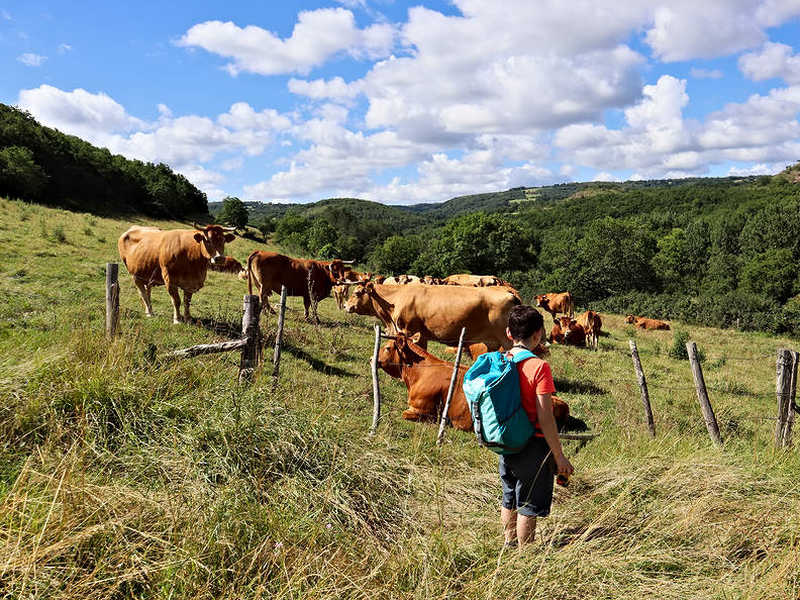 Activités nature sur-mesure, dans le Lot