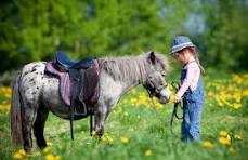 1H de balade a Poney dans l'Allier