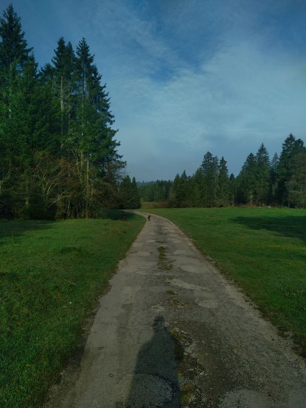 Journée découverte grand gibier dans le Doubs