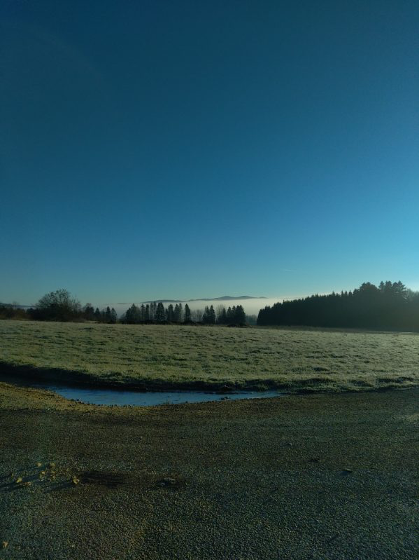 Journée découverte grand gibier dans le Doubs
