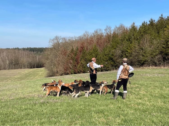 Journée vénerie du Lièvre en Picardie, Aisne