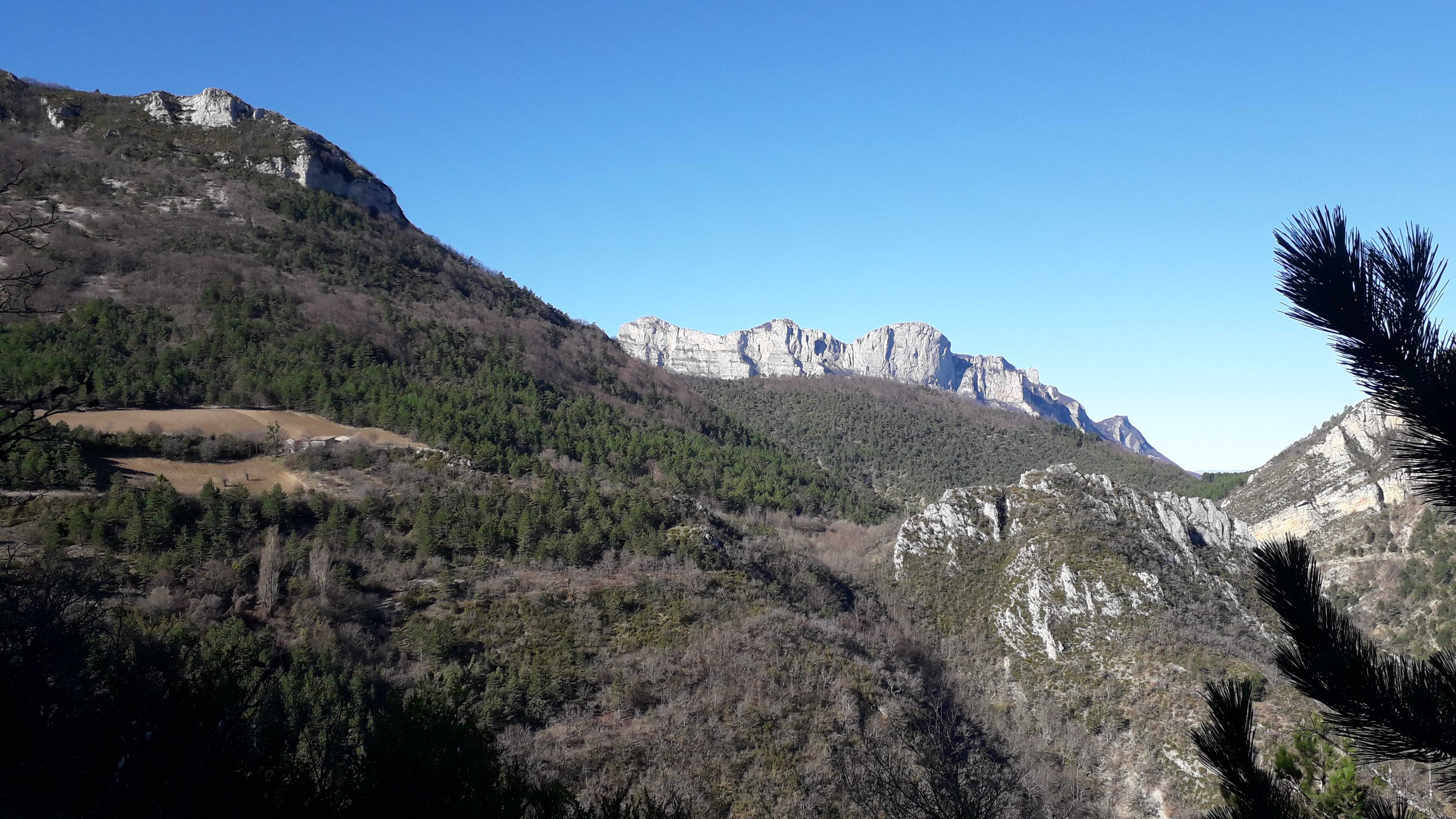 Journée ou weekend grands gibiers dans la Drôme